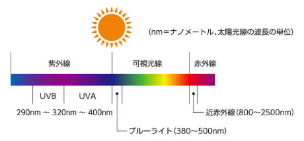 紫外線とその影響について解説！